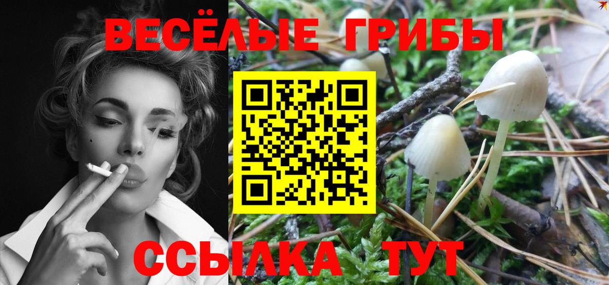 Галлюциногенные грибы ЛСД Шумерля
