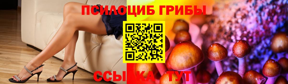 Псилоцибиновые грибы Cubensis  Псилоцибиновые грибы Psilocybe  Вход с VPN  Шумерля 